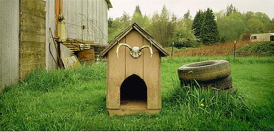 《007：曙光》里的邦德并非从一开始就是成熟的